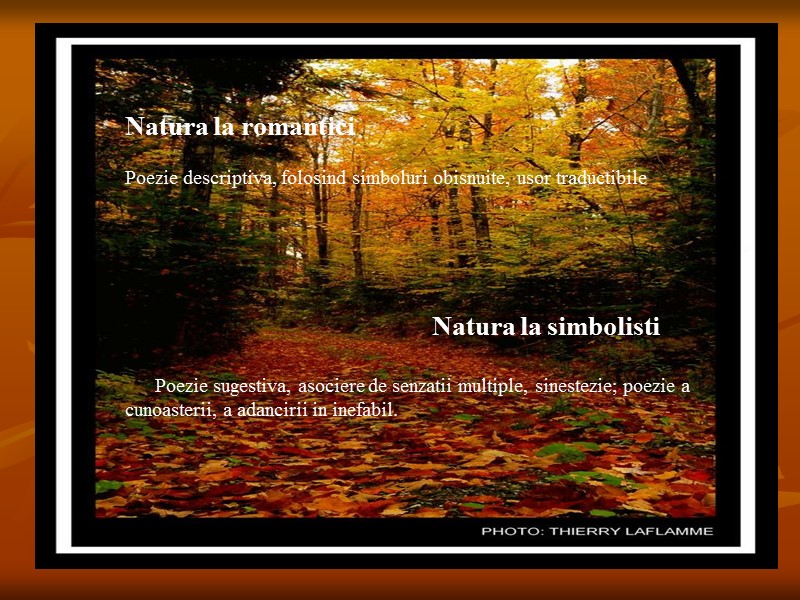 Natura la romantici  Poezie descriptiva, folosind simboluri obisnuite, usor traductibile   